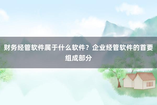 财务经管软件属于什么软件？企业经管软件的首要组成部分